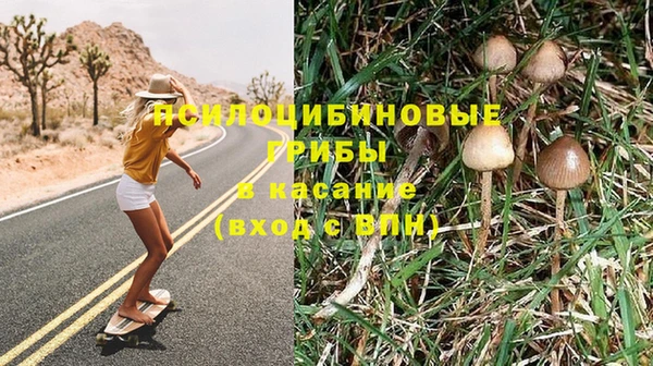 синтетический гашиш Арсеньев
