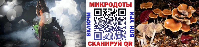 Галлюциногенные грибы прущие грибы  omg ссылки  Балашиха 